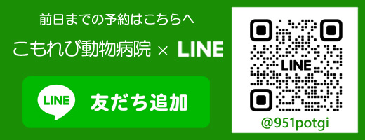 前日までの予約はこちらへ こもれび動物病院×LINE 友だち追加