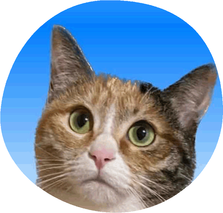 動物ケアスタッフ 曳地 茜