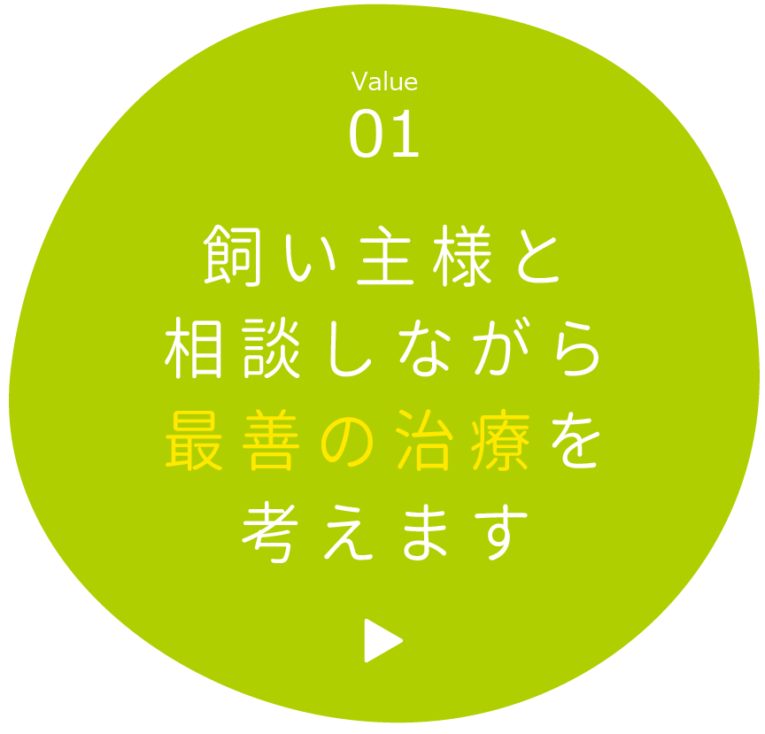 Value01 飼い主様と相談しながら最善の治療を考えます